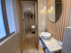 Mount Elizabeth Link (D9), Condominium #466085571